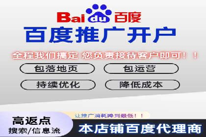 百度SEM推广案例解析：成功秘诀大公开